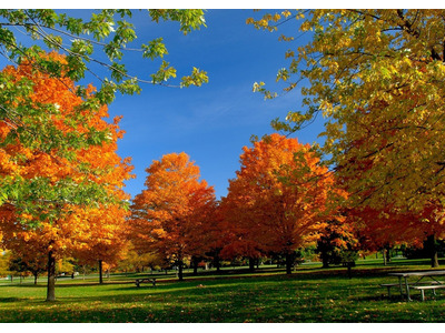 Акция Весенняя оттепель